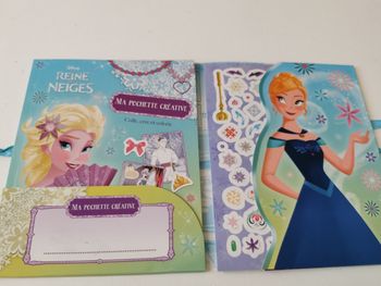 Carnet reine des neiges
