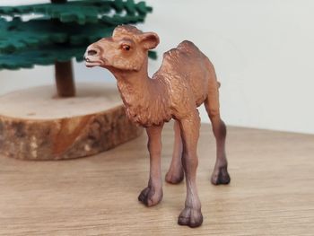 Figurine jeune chameau Animal du désert