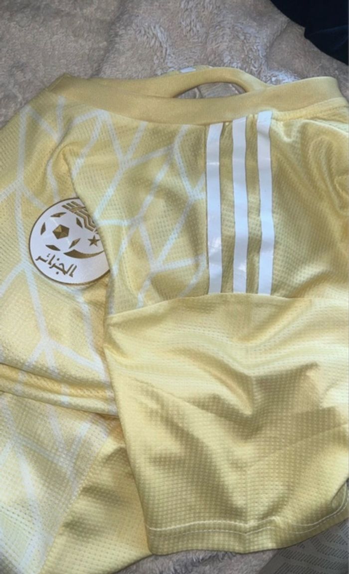 Maillot de foot ALGÉRIE Adidas  2023 jaune - photo numéro 4