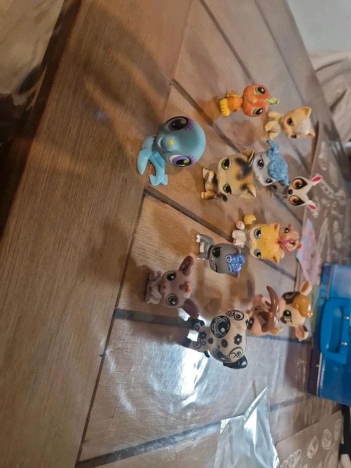 Lot petshop
