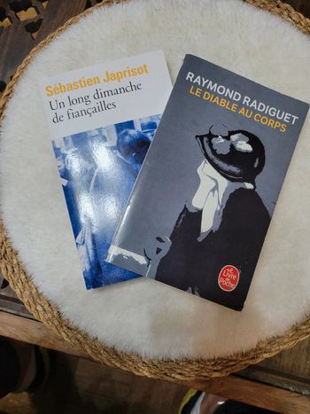 Lot 2 livres poches sur la première guerre mondial