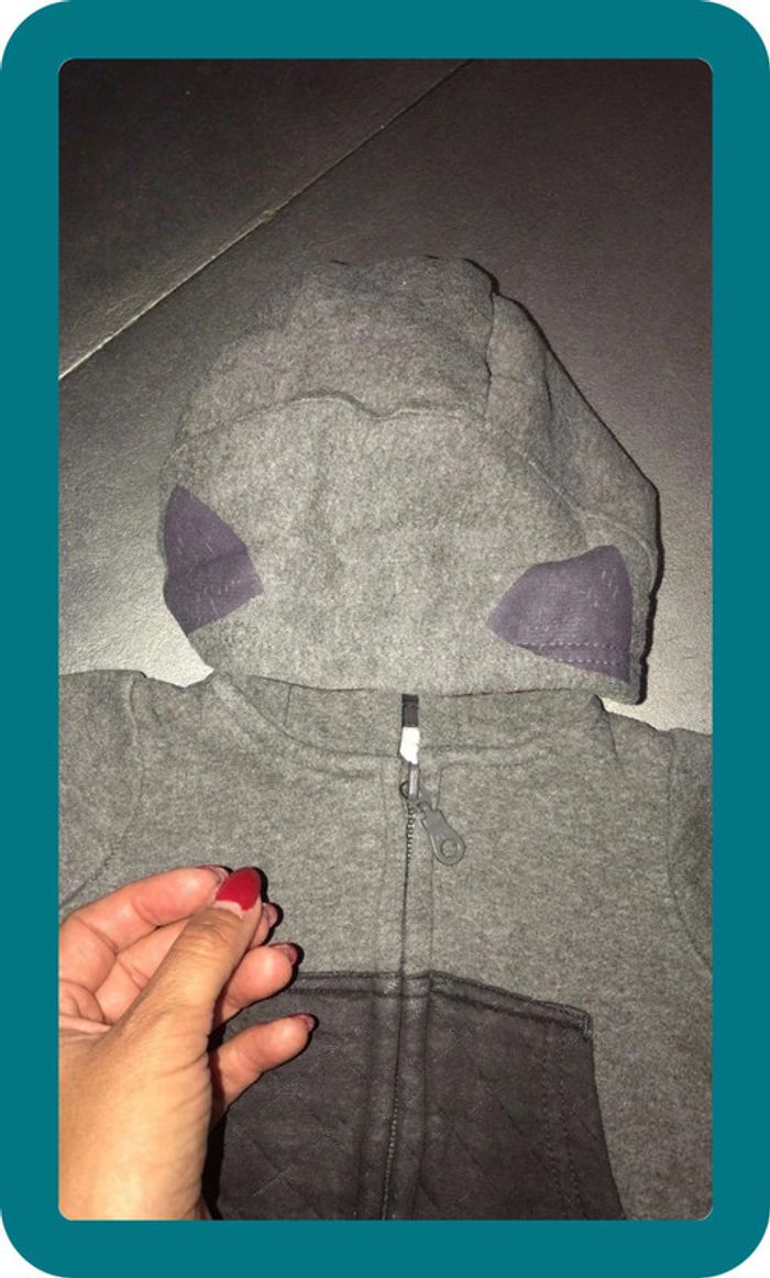 Sweat zippé a capuche - photo numéro 2