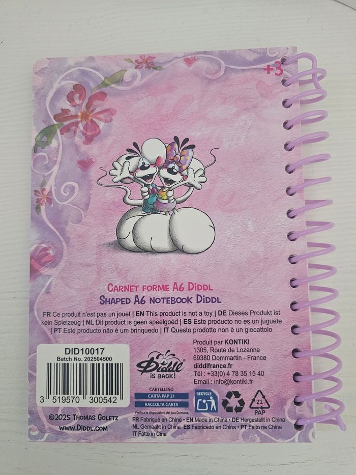 Lot de 2 carnets Diddl is Back - photo numéro 2