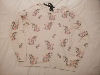Pull Flamingo