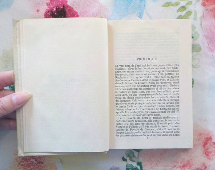 RAPHAEL GRAZIELLA d'A. de LAMARTINE Ed. Nelson années 30 - photo numéro 6