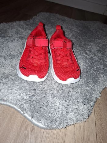 Puma taille 24