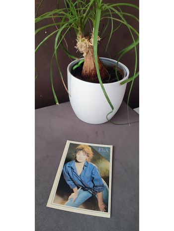 Carte postale Elsa
