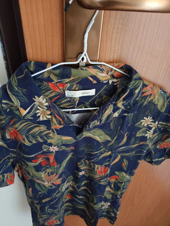 Polo celio - photo numéro 3