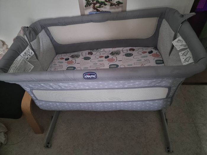 Co-dodo Chico - photo numéro 6