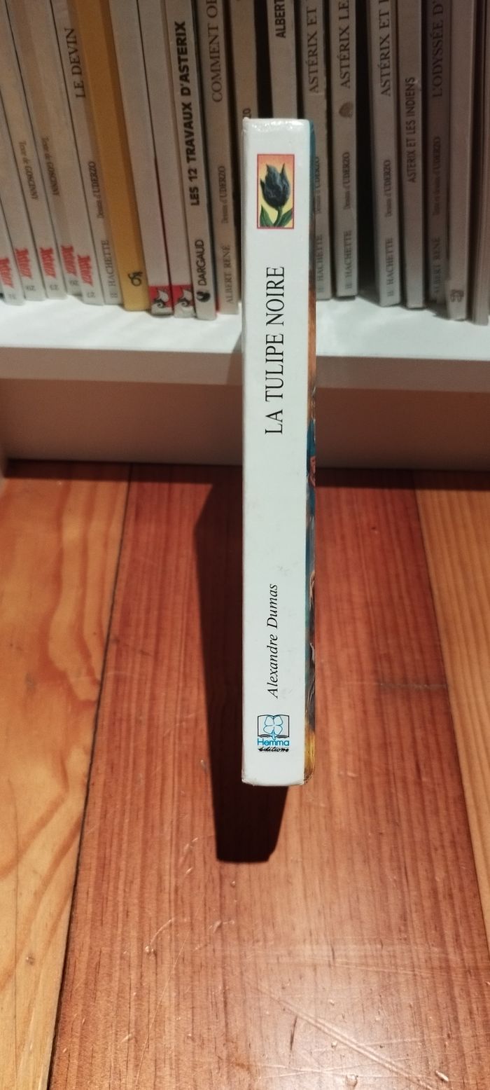 Livre vintage La tulipe noire - photo numéro 3