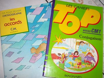 livre pour le cm, français