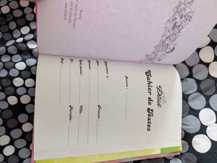 Cahier de texte diddl - photo numéro 2