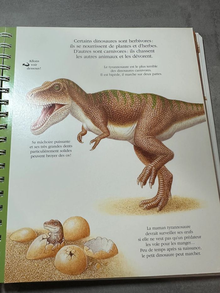 📚 Explore! Les dinosaures – mes premières découvertes (Gallimard Jeunesse) - photo numéro 5