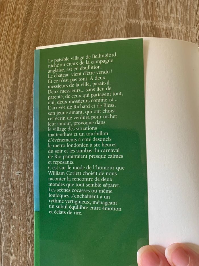 Deux garçons bien sous tous rapports - photo numéro 3