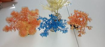 Déco aquarium