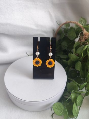 Boucles d'oreilles 