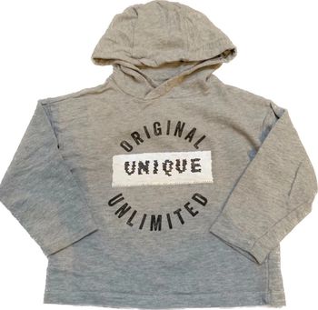 Sweat-shirt à capuche Orchestra