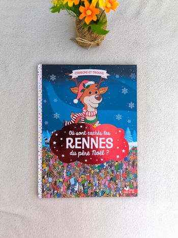Livre Où sont cachés les rennes du père Noël ?