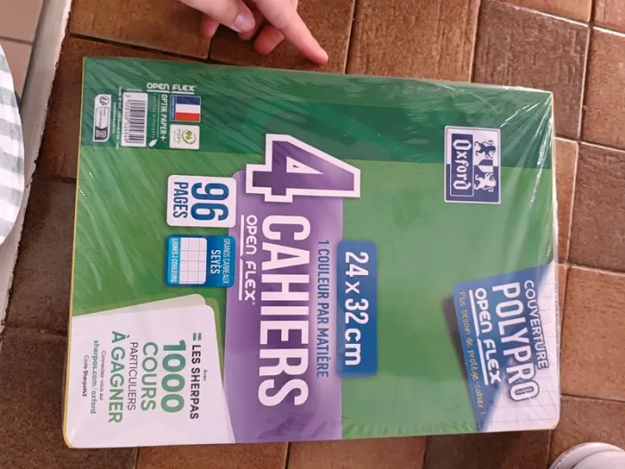 Lot de 4 cahiers Oxford polypro Open Flex 24 x 32 cm 96 pages grands carreaux neuf avec emballage
