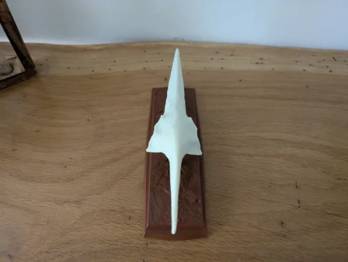Crâne de ptéranodon sur socle - photo numéro 15