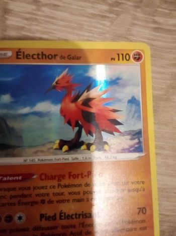 Carte Pokémon