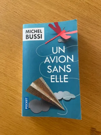 Un avion sans elle