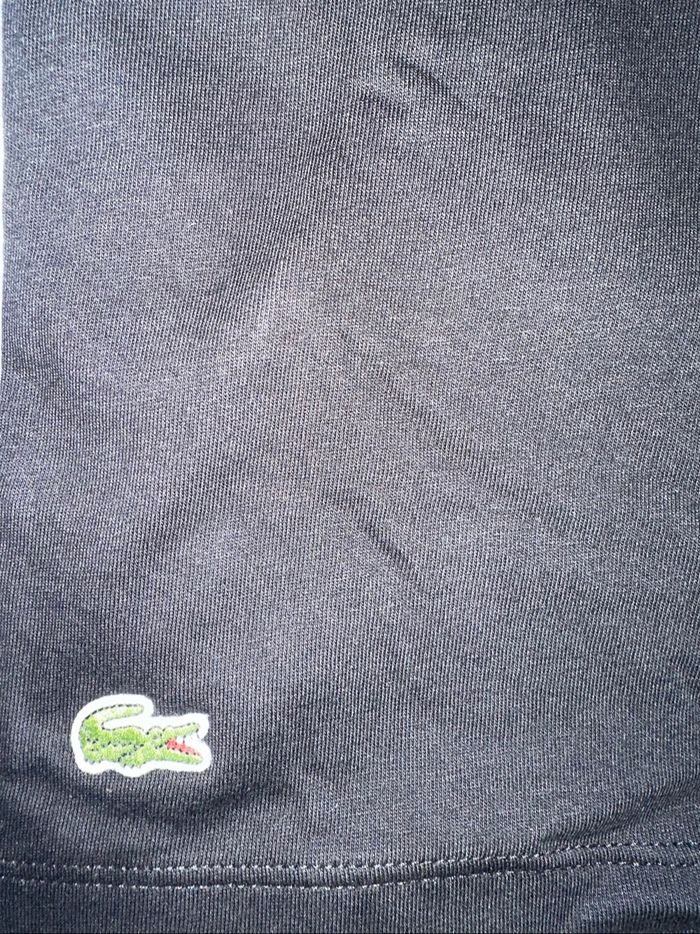 T-shirt Lacoste - photo numéro 4