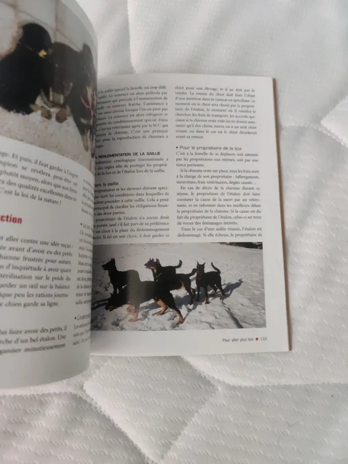 Livre sur le chien beauceron - photo numéro 5