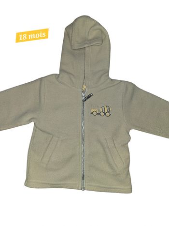 Pull à capuche 18 mois "Pick ouic"