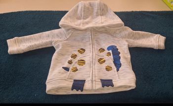 Veste