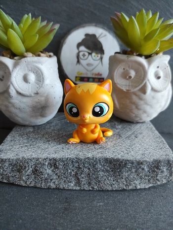 Littlest Petshop LPS Pet Shop chat Chartreux PC 294 cat Fuzzy  #geektradelpschat