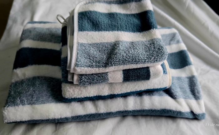 Serviettes bain - photo numéro 5