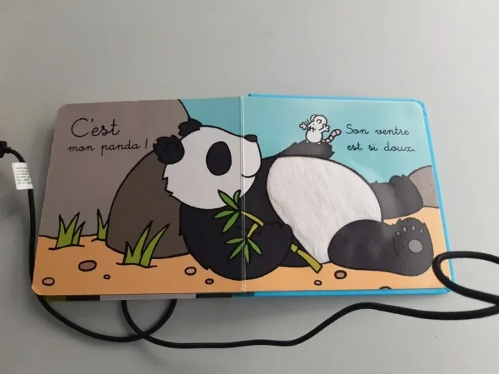 Livre ou est mon panda - photo numéro 6