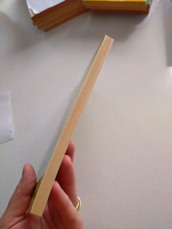 Garfield in training - photo numéro 4