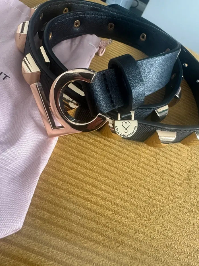 Superbe ceinture - photo numéro 3