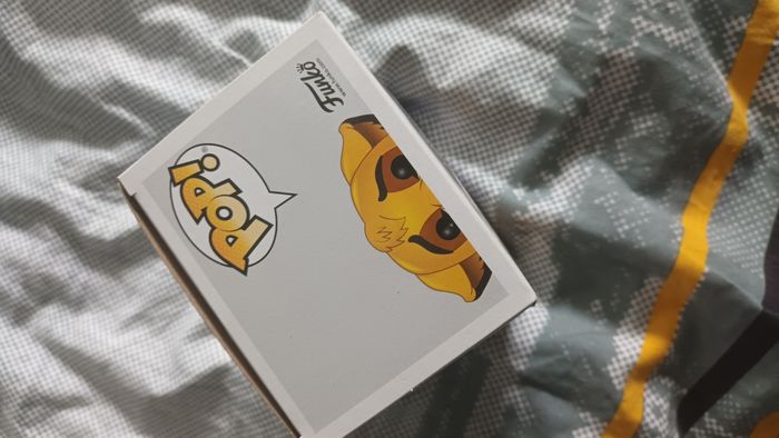 Pop simba - photo numéro 5