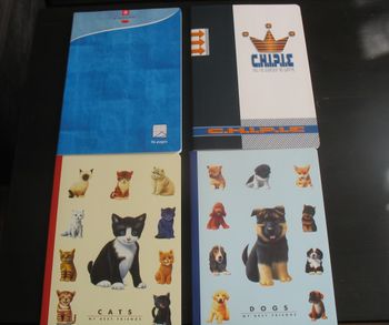 LOT DE 4 GRANDS CAHIERS - 96 PAGES - NEUF - n°51