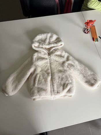 Manteau