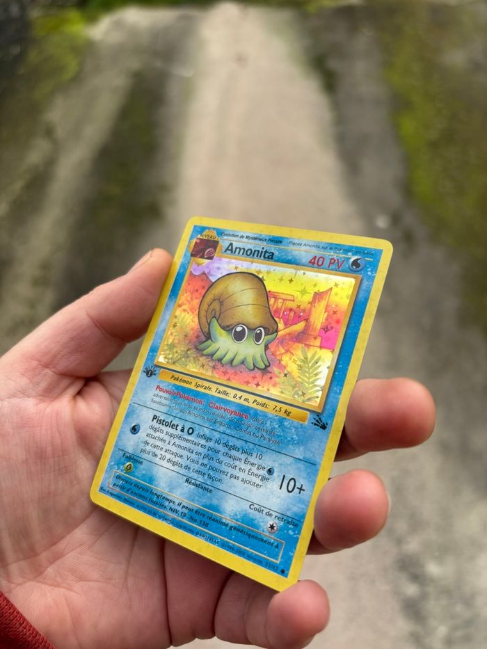 Amonita ed1 holo - photo numéro 3