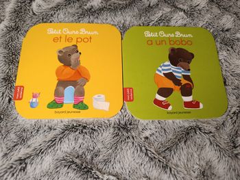 Petit ours brun 🐻