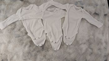 Lot de 3 bodies Orchestra taille 1 mois