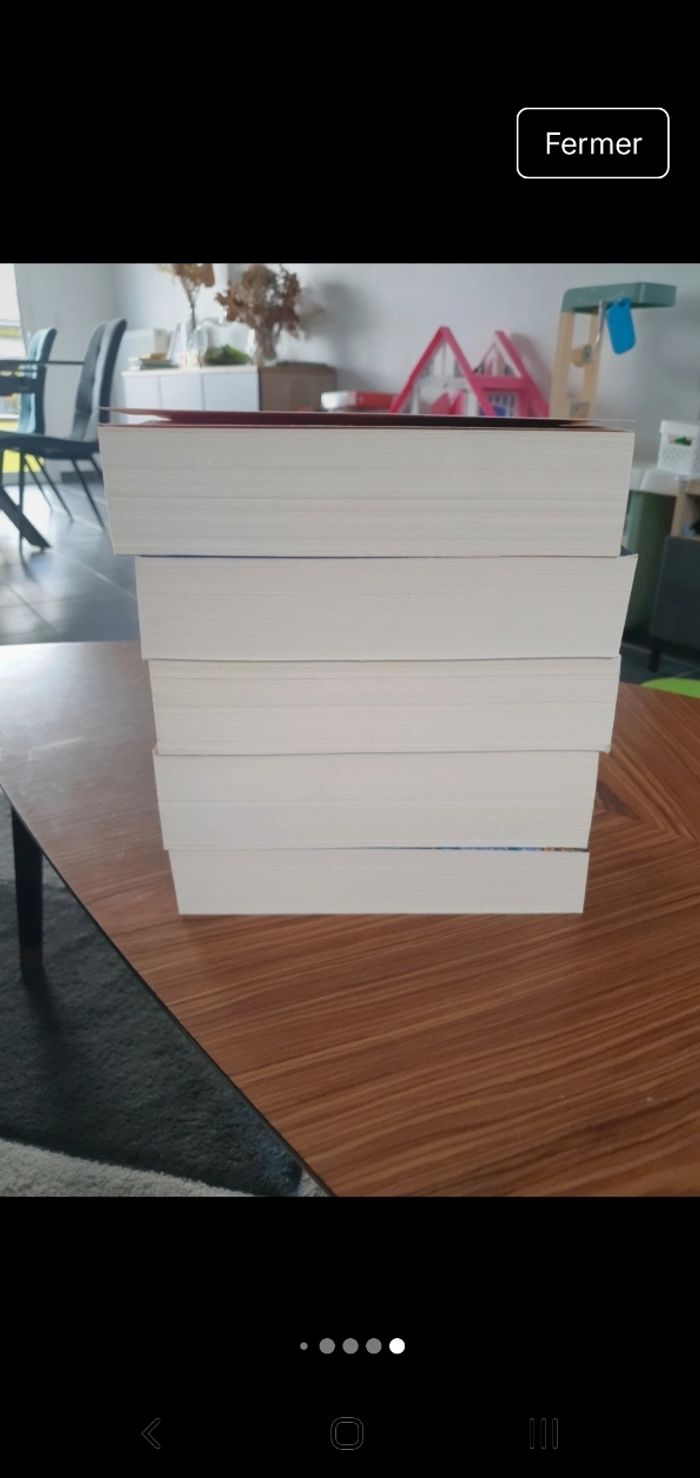 The bone season 1 2 3 4 5 - photo numéro 6