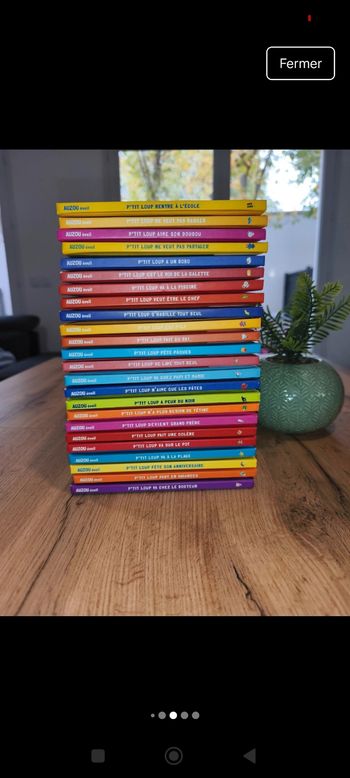 Lot de 24 livres p'tit Loup 🐺