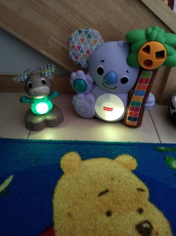Koala musical