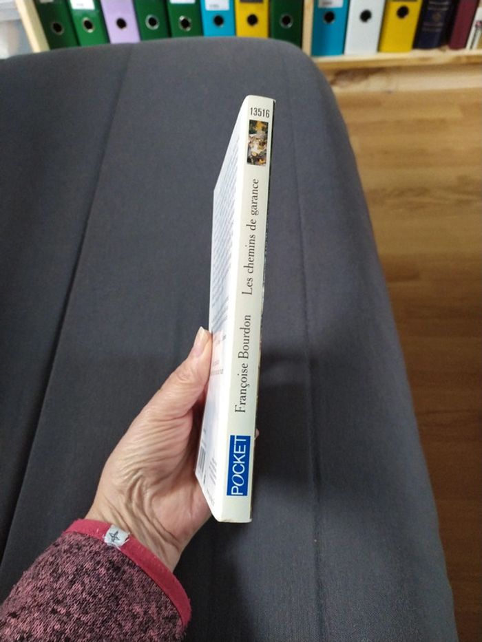 Les chemins de garance de Françoise Bourdon - photo numéro 3