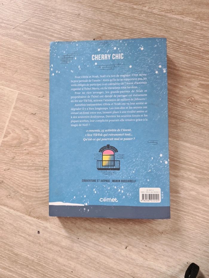 Un Noël presque parfait - photo numéro 2