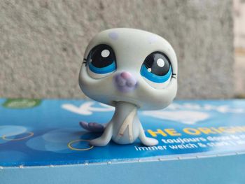 petshop otarie