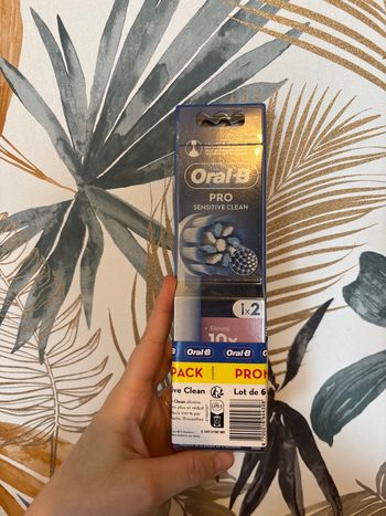 Brossettes oral B x 6