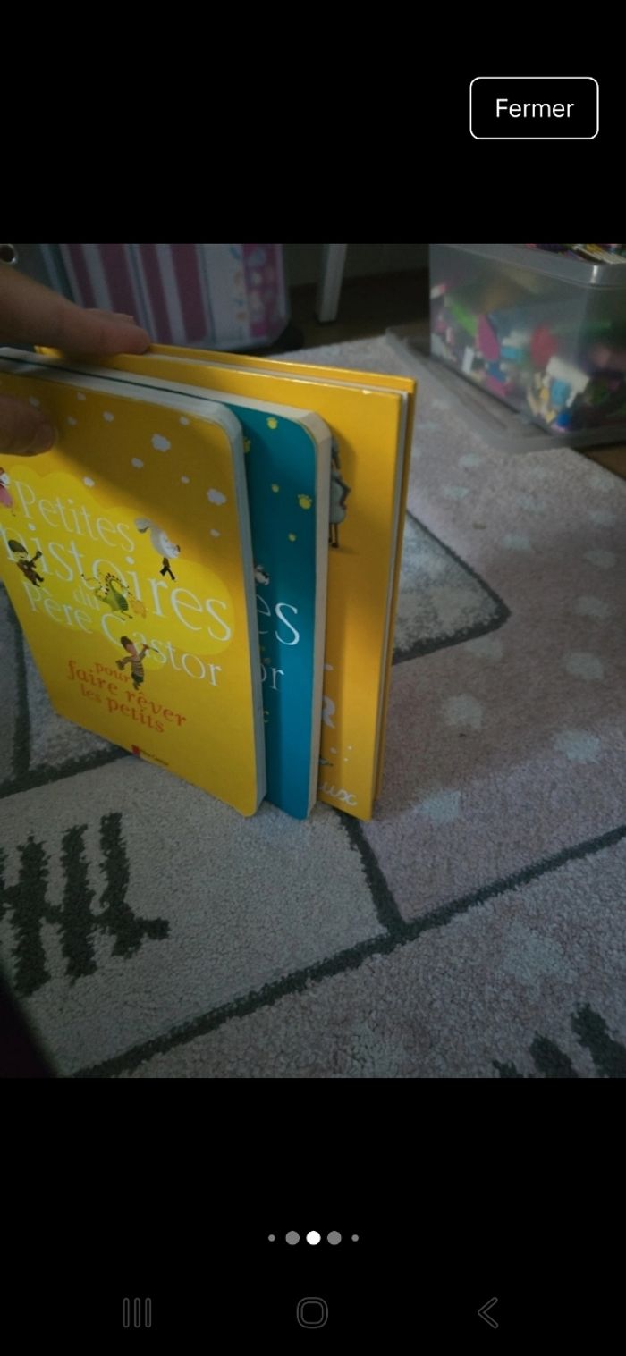Lot 3 livres père castor - photo numéro 3