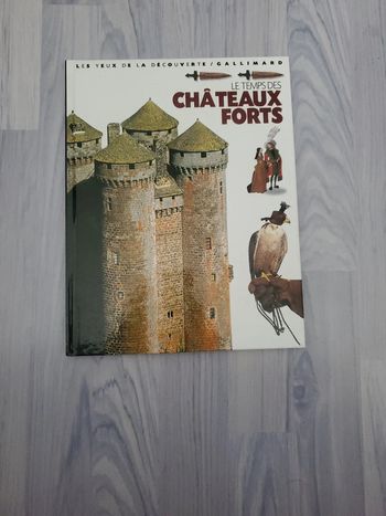 Le temps des châteaux forts
